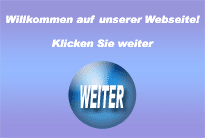 Flash-Seiten ohne lesbaren Text