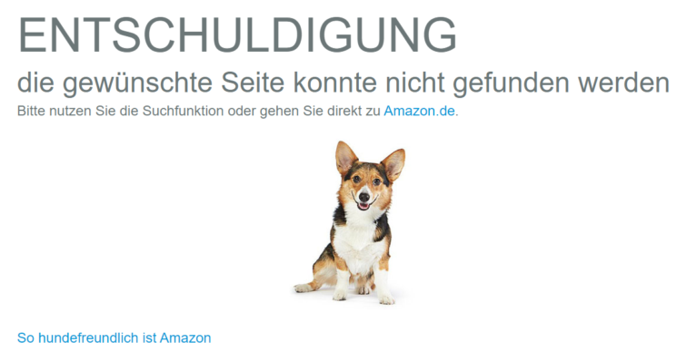 404 Seite von Amazon