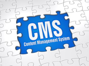 CMS für SEO