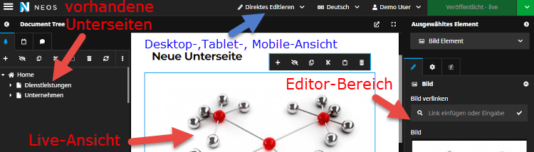 SEO für Neos