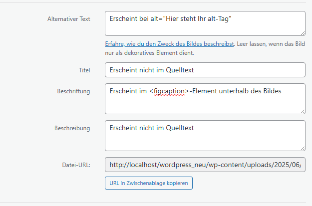 Alt-Tag und Beschriftung für Bilder festlegen - WordPress