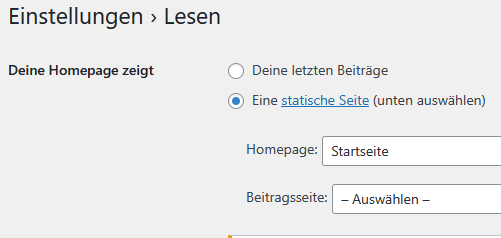 WordPress Einstellungen Lesen
